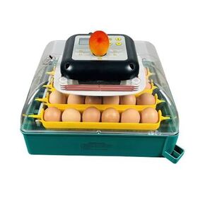 Hot Selling Egg Incubators, Chicken Egg Incubators for Farm with 12V Battery Solar Incubator Heap Price
