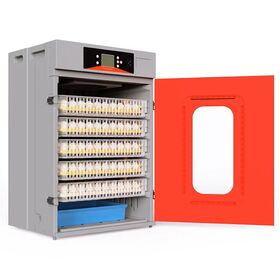 Wholesale Egg Incubators Chicken, Duck, Ostrich Automatic Egg Incubators with / All Capacity Eggs Incubators