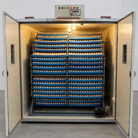 Original Chicken Incubator Duck, Ostrich, Quail Hatching Machine Intelligent Egg Incubator