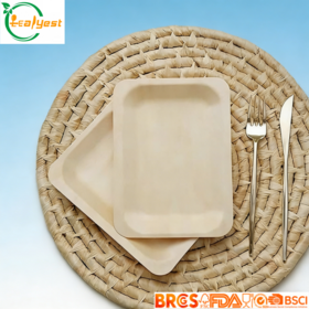 Portable Rectangular Birch Wood Disposable Plates FSC Certified Food Safe for Camping Picnics Parties Traveler's Choice 100 Ct
