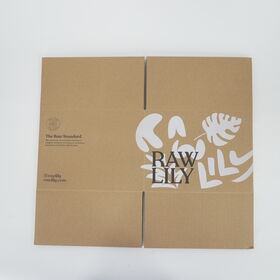 Eco Friendly Custom Printed Kraft Corrugated Box with Logo Single Color Cardboard Shipping Carton for Business