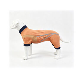 Dog outdoor pet clothing for sun protection, insect prevention and hair prevention in spring and summer. Customizable.