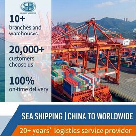 Professional Global Cargo Freight Forwarding Agent 20+ Years Experience Shipping Agent Services