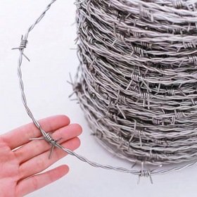 Hot Dipped Galvanized Barbed Wire -Security Fence Razor Wire Alternative