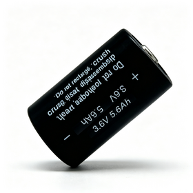 Factory Price Portable ER25500S 3.6V 5600mAh Lithium Battery for Mind Equipment