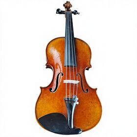 Professional Handmade Ebony Violin Set Beginners Dark Brown Antique Oil