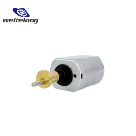 China Factory OEM ODM Custom FF-280SH 6000RPM High Speed Micro Brushed DC Motor ROHS Certified for Personal Grooming Equipment