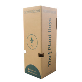 Custom Two Tone Brown Green Kraft Wine Bottle Box with Side Handle Cardboard Brand Premium Packaging