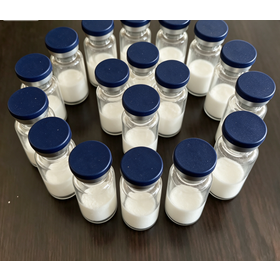High Purity S20 Peptide Powder China Manufacturer Research Raw Materials