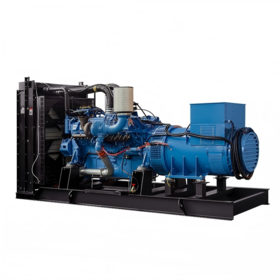 Our professional diesel generators (120kW-2000kW) provide reliable power for data centers, schools, hospitals.