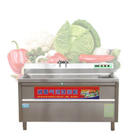 ozone fruit and vegetable cleaning washing machines