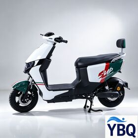 Custom OEM Dual Voltage 48V/60V High Speed Electric Moped 1000W Brushless Motor 12-Tube Controller Max Speed 65km/h 14*3.0 Widetir