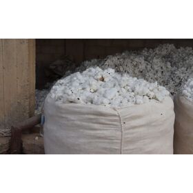 100% Organic Raw Cotton Exclusive Deal Best Quality at Affordable Price Supplier at Latest Discounted Price on Bulk Order