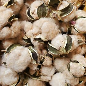 Premium Raw Cotton Fiber for Textile Spinning, Yarn Manufacturing, Quilts, Bedding, Garment Filling & Industrial Use