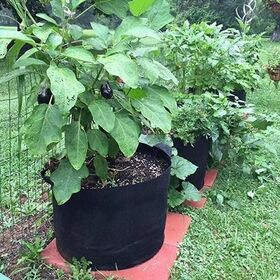 Brazil Market Special 10Gal Non-Woven Plant Grow Bags, Heavy Duty Dual Handle Planting Bags for Large Scale Blueberry Farming