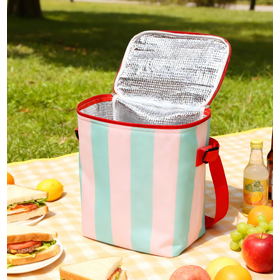 Reusable Fashion Eco Friendly Insulated Picnic Cooler Bag Summer Outdoor