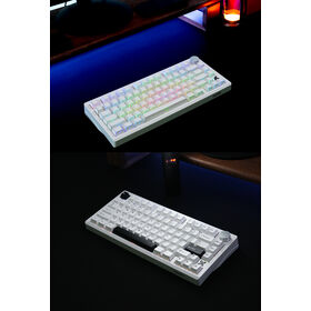75% Heißverkauf TK53N+OEM Kabellose Gaming-Tastatur + Tri-Mode + RGB-Hintergrundbeleuchtung + HIFI-Schalter + Hot-Swap-fähiger Schalter + Hersteller + PBT-Tastenkappe