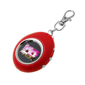 Delicate Photo Keychain, Different Styles Available, Eco-friendly Material