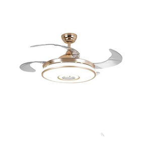Ceiling Fan Light with LED Speaker Chandelier