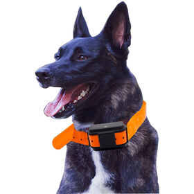 Alpha 300 TT 15 Dog GPS Tracker Long Standby 4000mAh Electronic Fence Function Built-In 4G Chip Locator Training Supervision