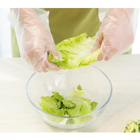 Premium Clear HDPE Disposable Gloves - Versatile Hand Protection for Commercial Service, Industrial & Daily Home Tasks