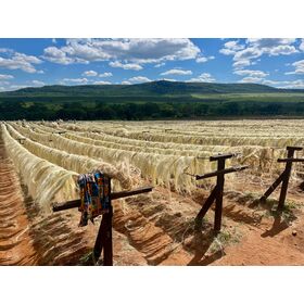 Natural Raw UG Sisal Fiber Flame Retardant Eco-Friendly for Gypsum & Concrete at Factory Price