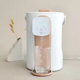 2L 1000W PP Glass Stainless Steel Electric Hot Water Bottle Temperature Controlled Factory Manufactured for Home Hotel Keep Warm