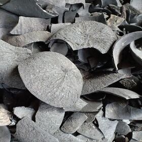 Wholesale Coconut Shell Charcoal High Carbon Low Ash Natural BBQ Charcoal for ShishaHookah Barbecue Factory Price