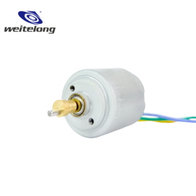 BOR029 Mini BLDC Brushless DC Motor, Hot Sale Custom OEM ODM Low Vibration for Professional Tattoo Pen, Engraving & Cutting Tools