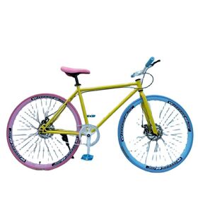 Cheap Single Speed Fixie Mountain Bike
