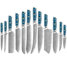 Professional Damascus Steel Chef Knife Set Pakka Wood Handle Tool