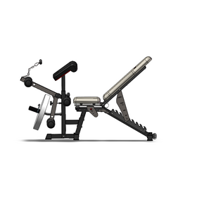 Multifunction Sit up Workout Bench Foldable Fitness Strength Training Home Weight Benches