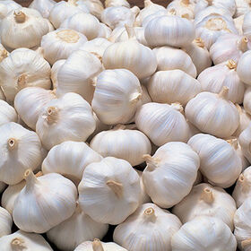 Ail Blanc Normal ZLM de Récolte Fraîche pour Vente en Gros