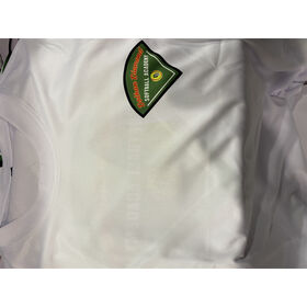 Printing Logo Custom 100% polyester Unisex T-shirts
