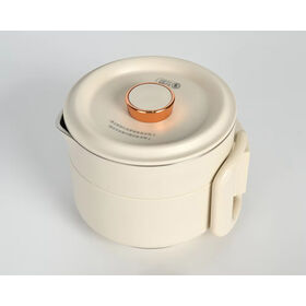 Professional Product Customized Plug 1000ML 600W China Cheap Travel Folding Electric Kettle