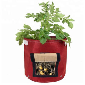Nonwoven Plant Growing Bags