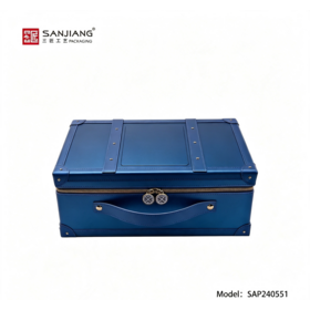 Wholesale Purple Handhold Large Capacity Storage Box Double Lock Cosmetic Storage Case Home Travel Portable
