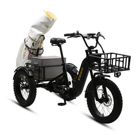 Free Shipping Rear-Load Fat Tire Bike With Aluminum Frame 500W Brushless Motor 60km Range E TR03 Rear Hub Motor Provides Efficient