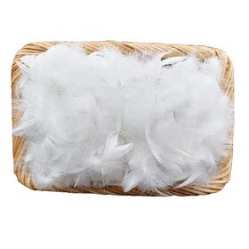 Clean Washed Mixed Goose Duck Down Feather Fillings