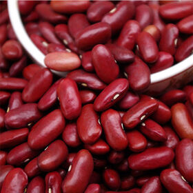 Kacang Merah Kidney Kualitas Super Harga Murah Grosir, Kacang Merah Kering Warna Merah Tua Bentuk Panjang. Gratis Ongkir.