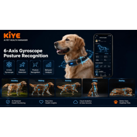 Smart pet collar