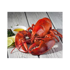 Lobster Segar Dingin Beku Gaya Kemasan Kotak 22cm 25kg untuk Dijual Grosir