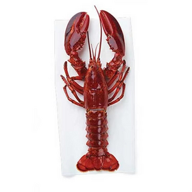 Harga Grosir Sangat Baik Lobster Kanada Beku Hidup dengan Kemasan Segar dan Kotak 10kg | Pengiriman Cepat