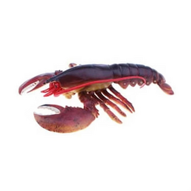 Lobster Biru Beku Langsung Pabrik, Utuh, Proses BQF, Kualitas Tinggi, Grosir Ekspor, Pengiriman Cepat, Pasokan 5cm 0.25kg