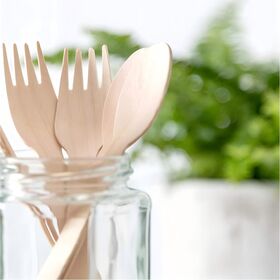 Eco-Friendly Disposable Birch Wood Cutlery Set Biodegradable Compostable Utensils Including Knives Forks Spoons