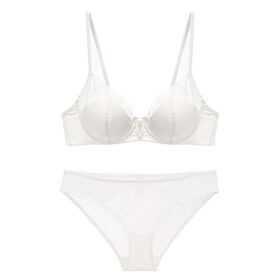 Sexy Lingerie Set, Push Up Bra, Brief, Microfibre, Mesh, Constrast Colour, Various Colours Available, New Designs, Wholesale