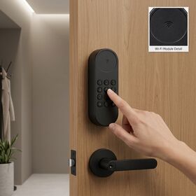 Intelligente Fernentriegelung TUYA mit App, Zinklegierung, Elektronisch Betrieben, Automatisches Upgrade Tastatur Code für Holztür