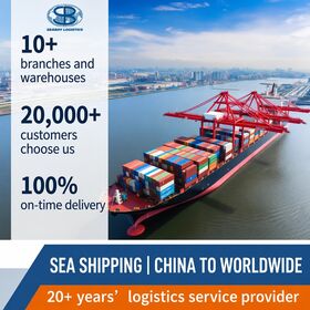 China to USA Sea Freight Forwarder Professional LCL FCL Ocean Logistics