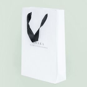 Custom Logo Printed Paper Gift Bags with Ribbon Handles for Premium Gift Packaging Retail Shopping and Special Occasions