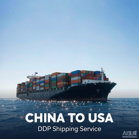 China to USA DDP Freight Forwarding FCL / LCL / Sea
